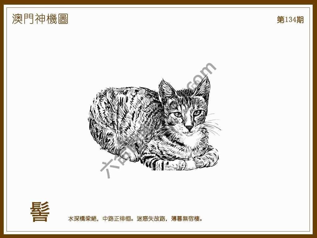 澳门神机图