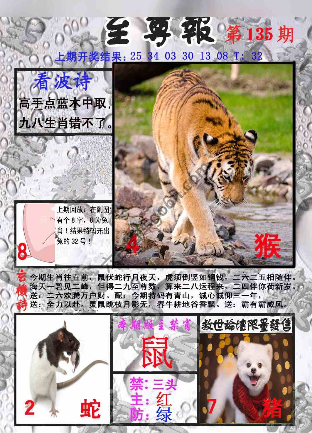 至尊报