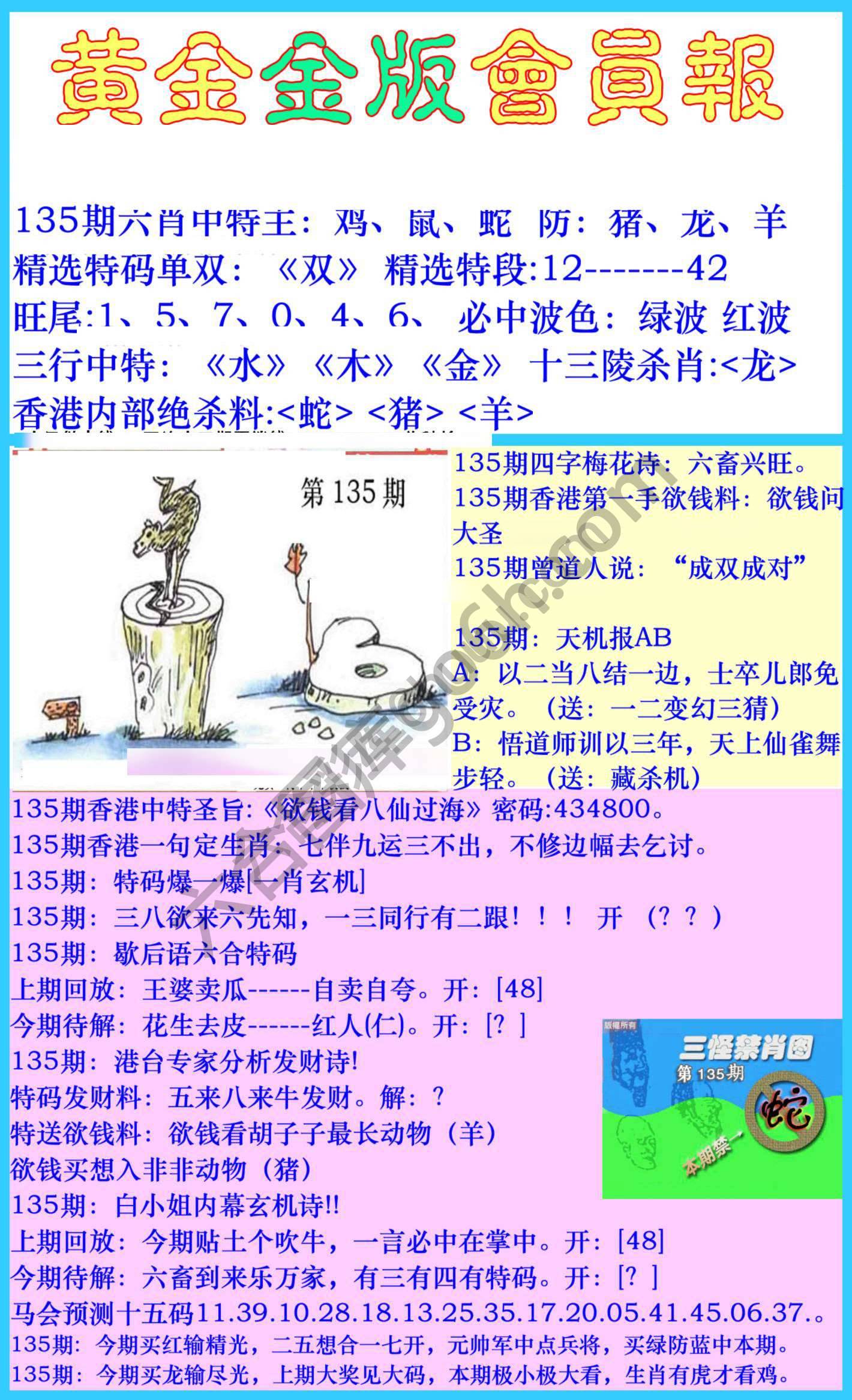黄金金版会员报
