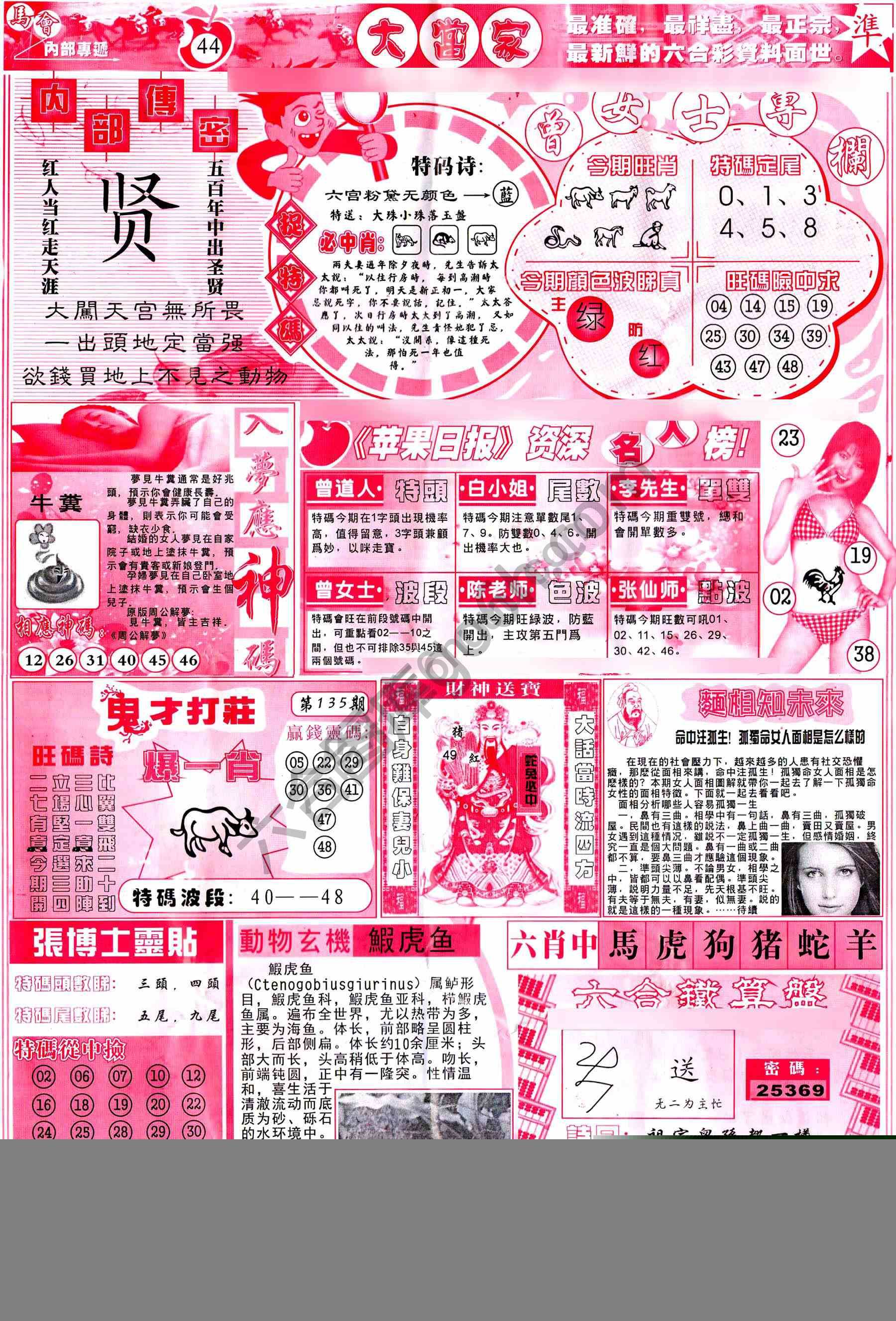 大当家