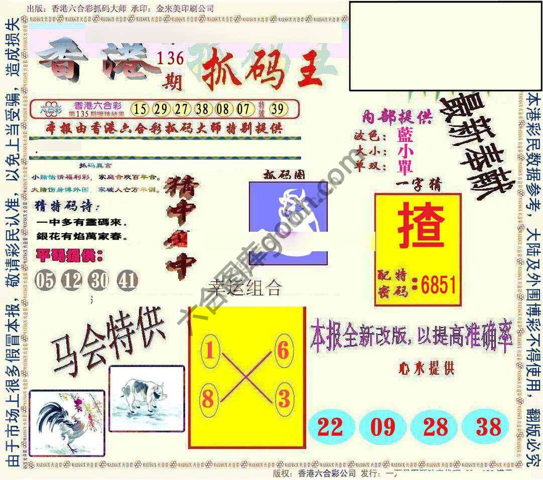 新抓码王