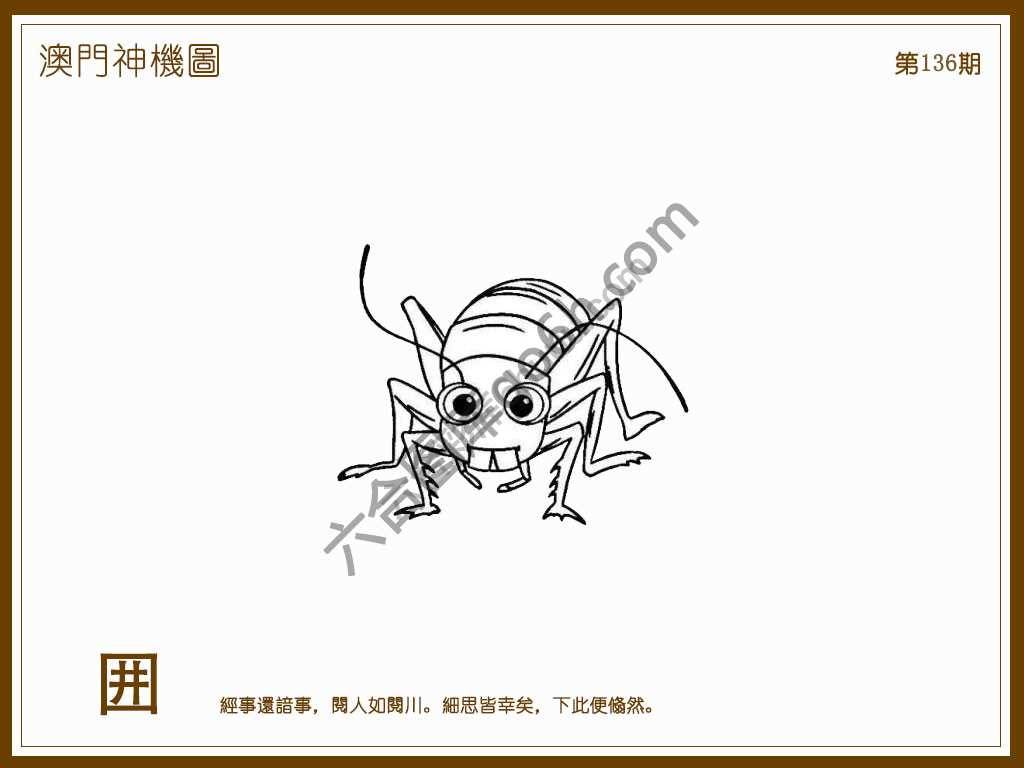 澳门神机图