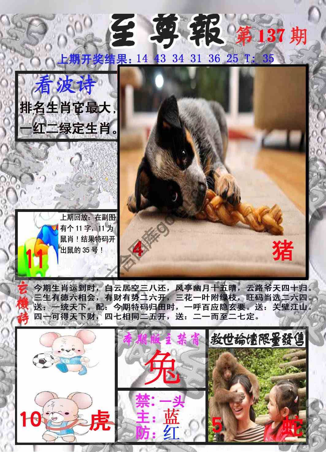 至尊报