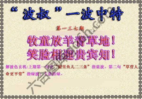 波叔一波中特