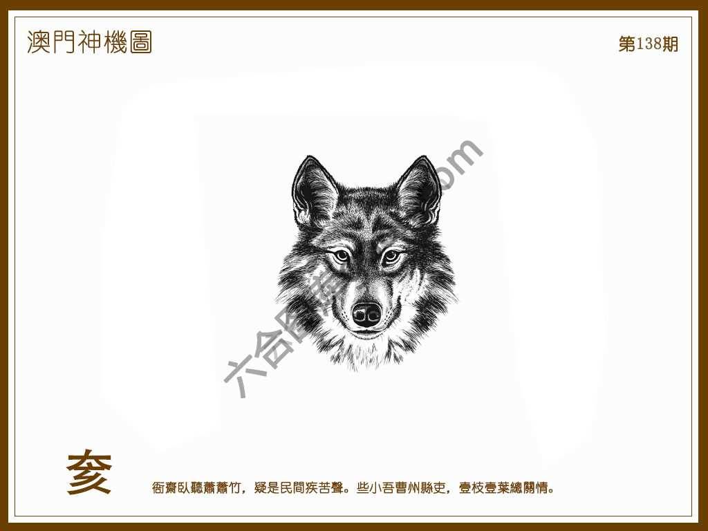 澳门神机图