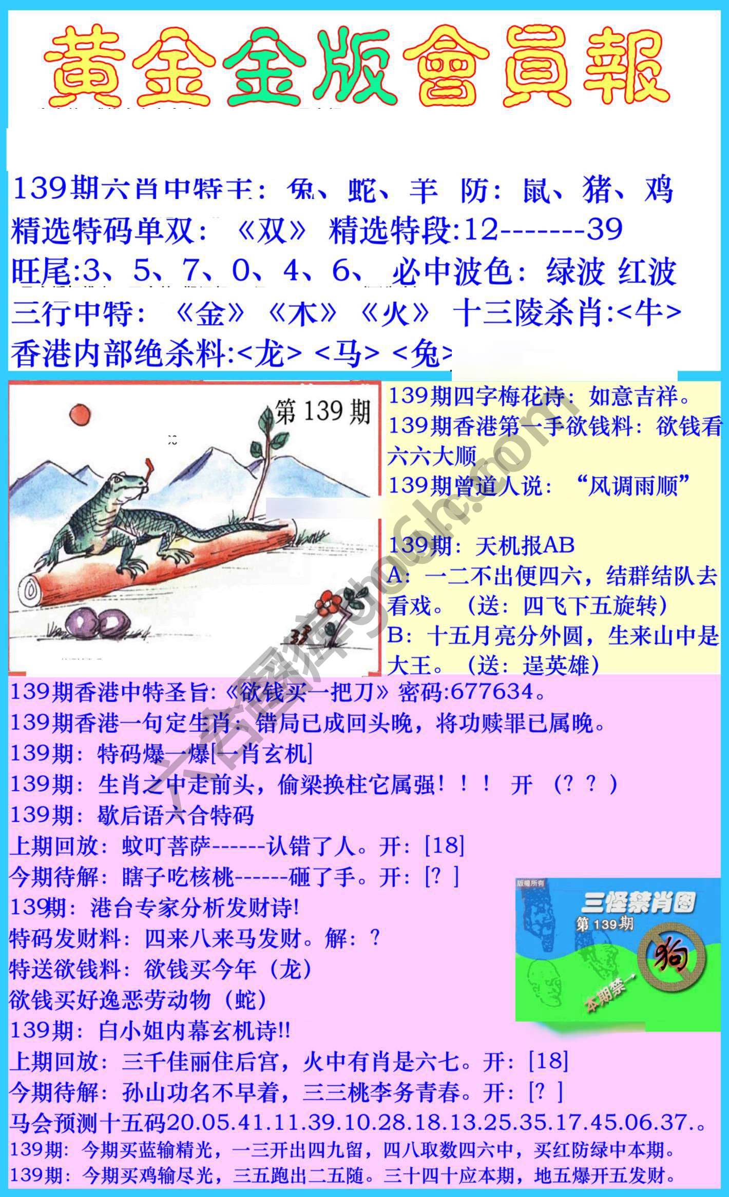 黄金金版会员报