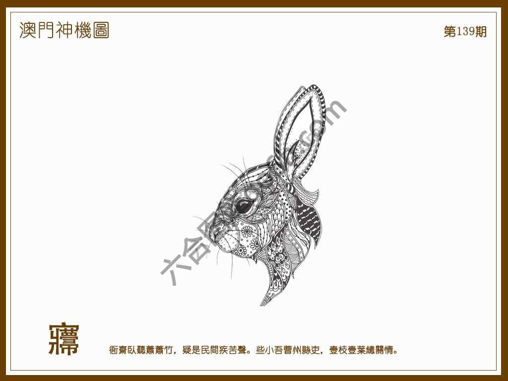 澳门神机图