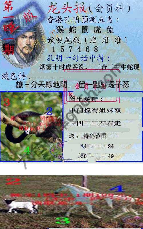 龙头报