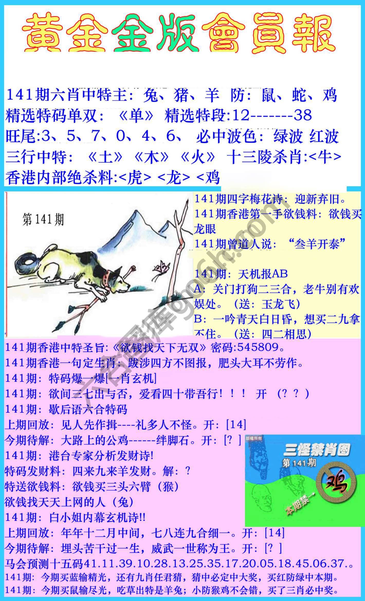黄金金版会员报