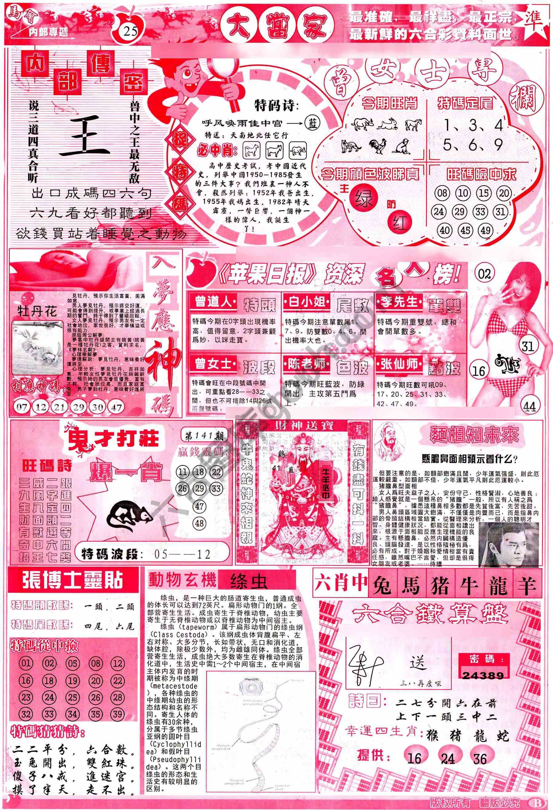 大当家