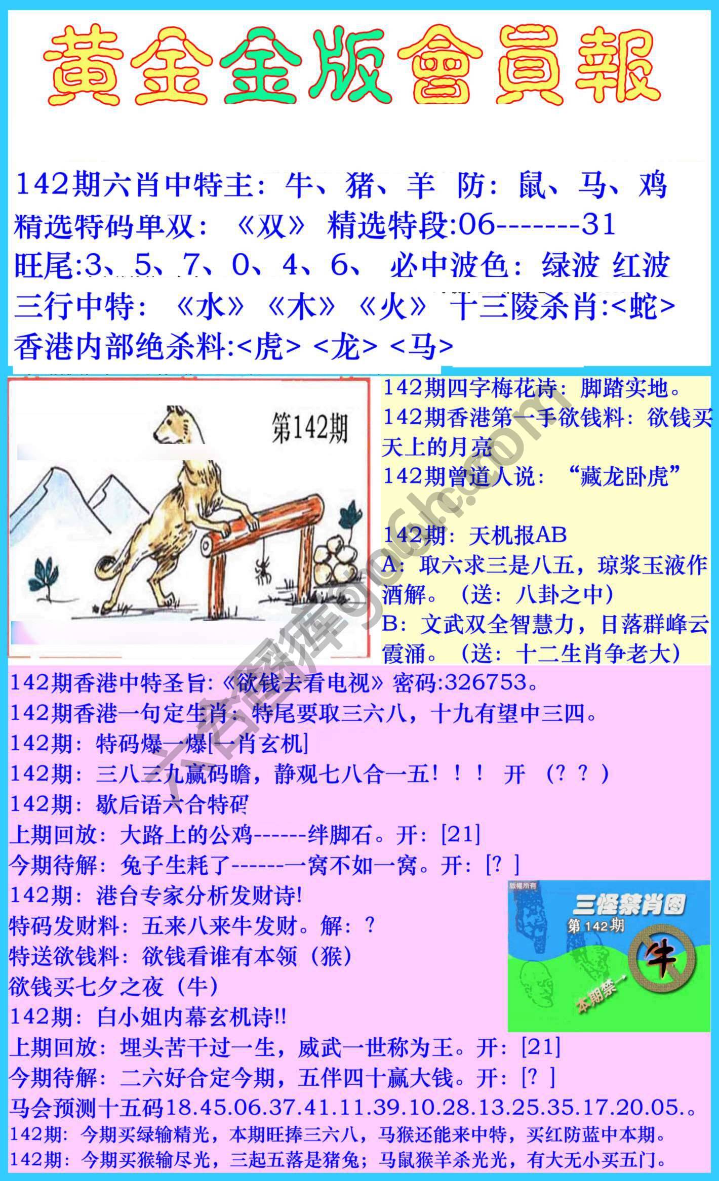 黄金金版会员报