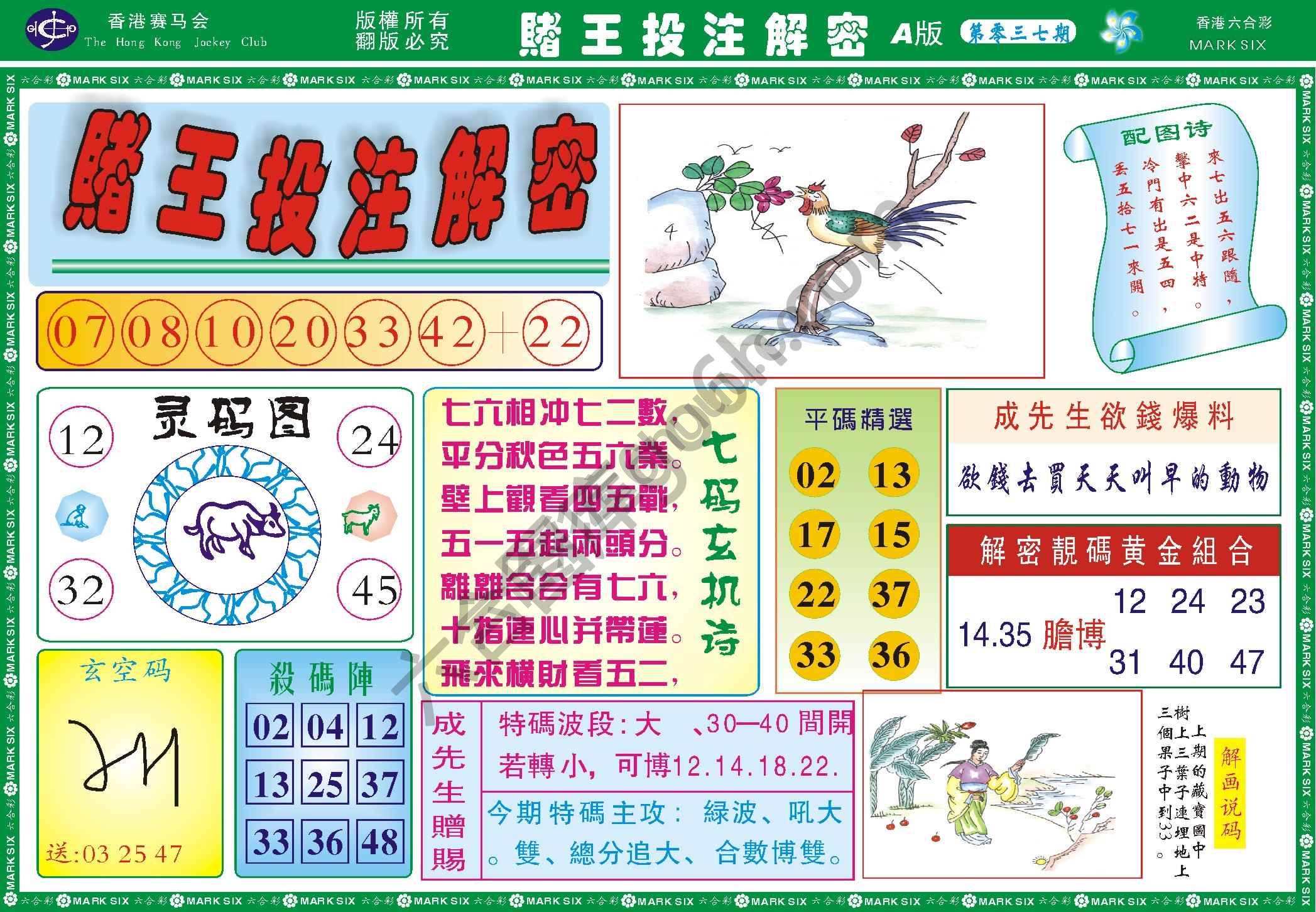 赌王投注解密