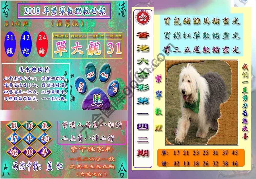 数理救世报
