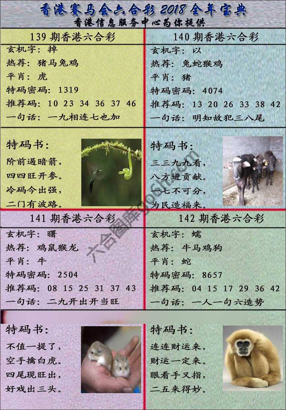宝典报