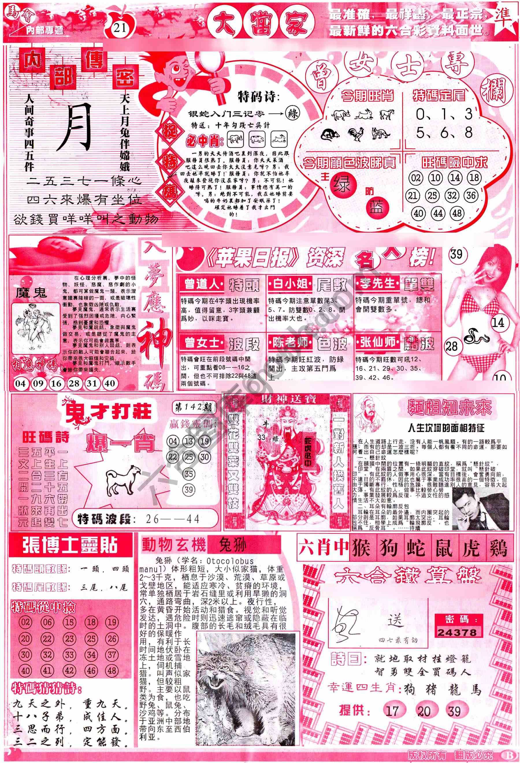 大当家