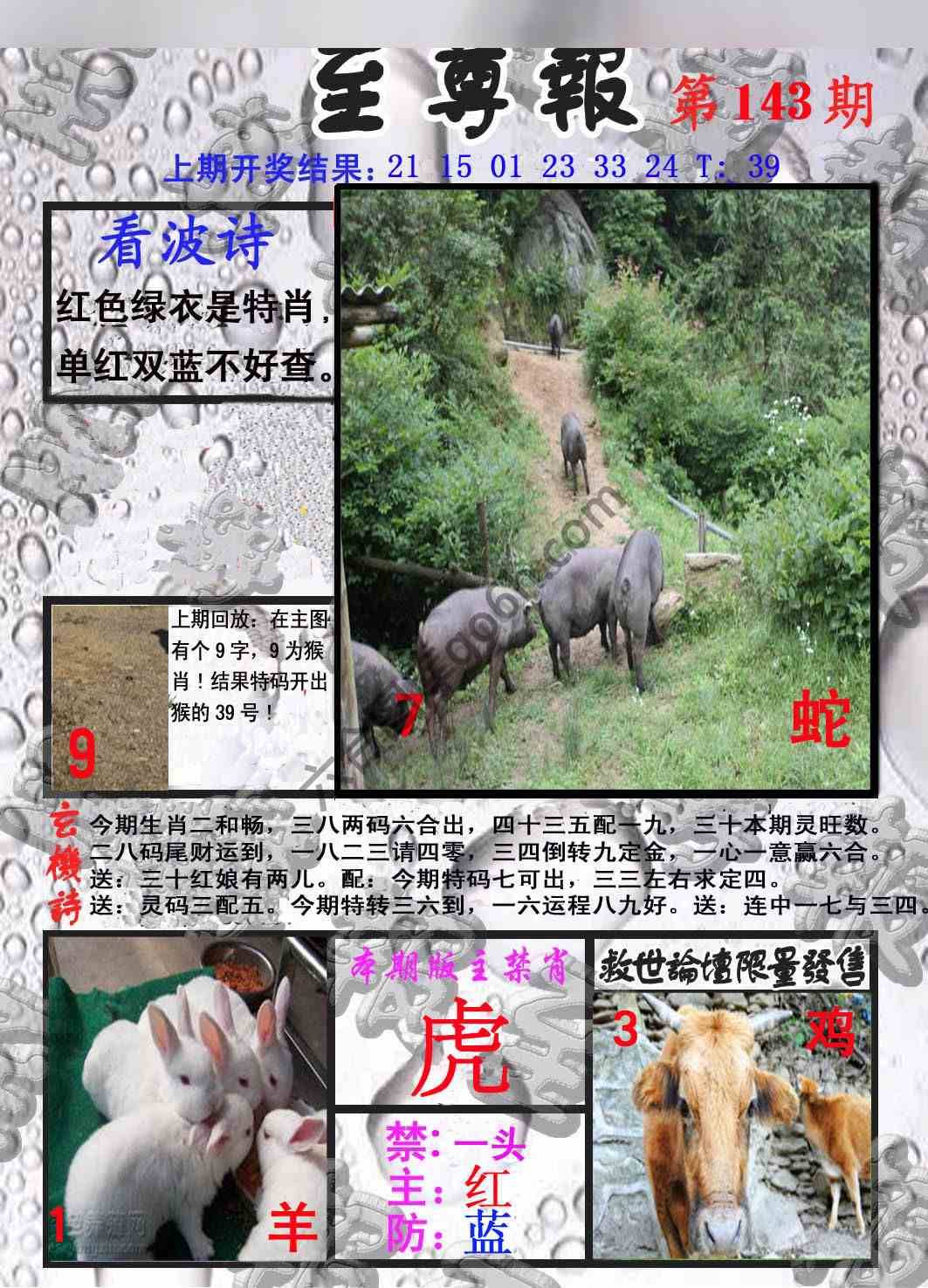 至尊报