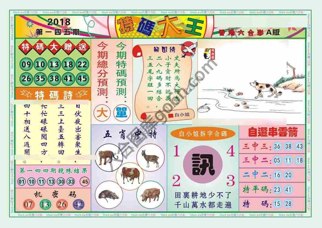 特码大王