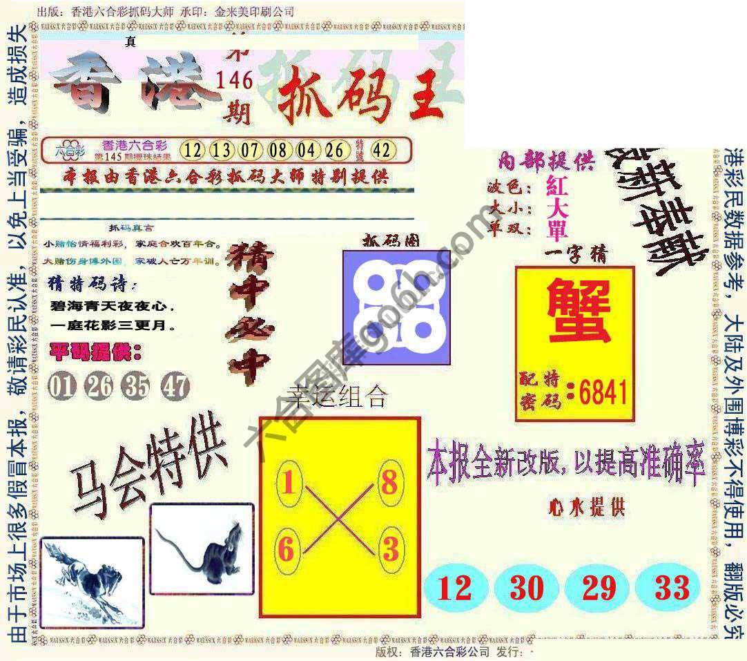 新抓码王