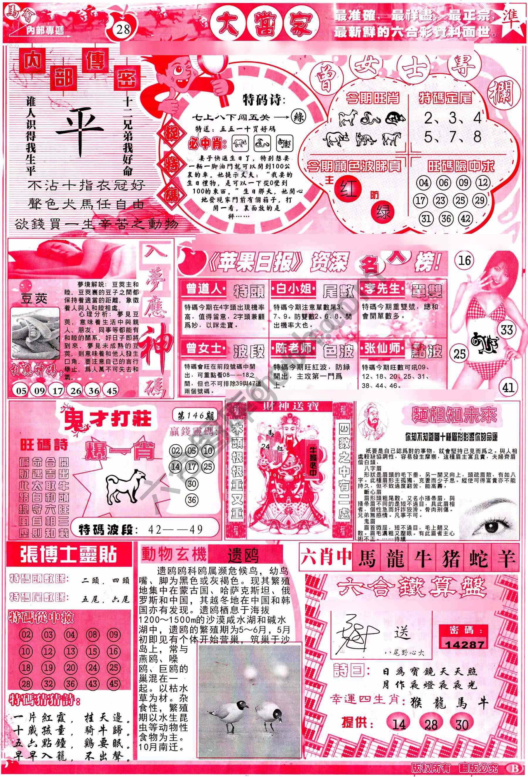 大当家