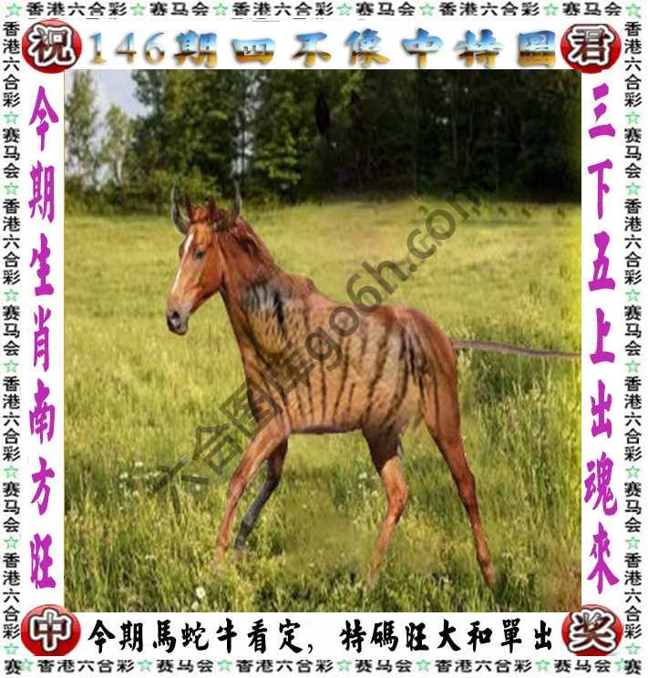 四不像中特图
