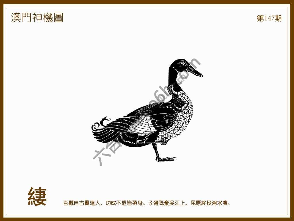 澳门神机图