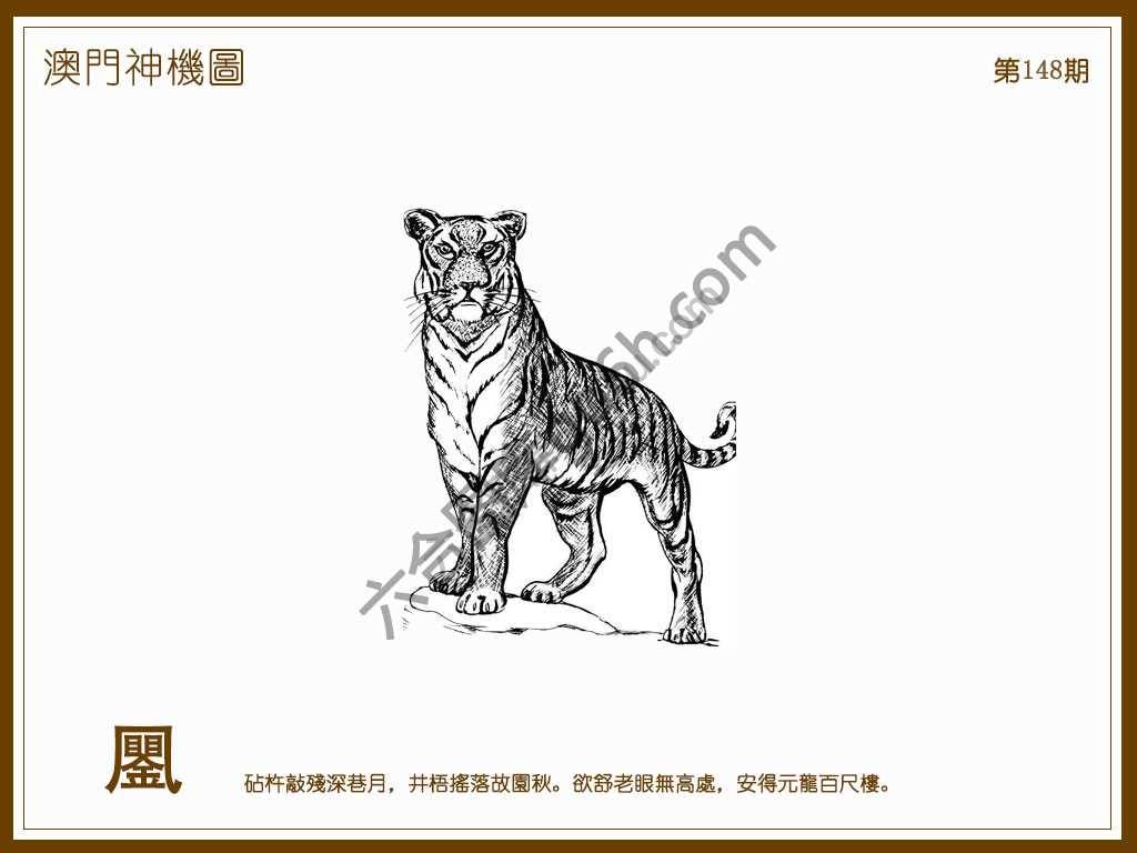 澳门神机图