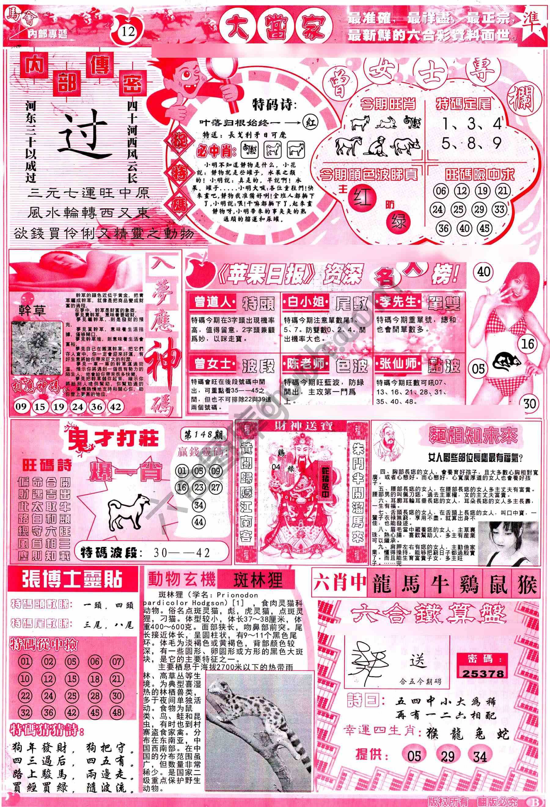 大当家