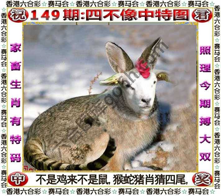 四不像中特图