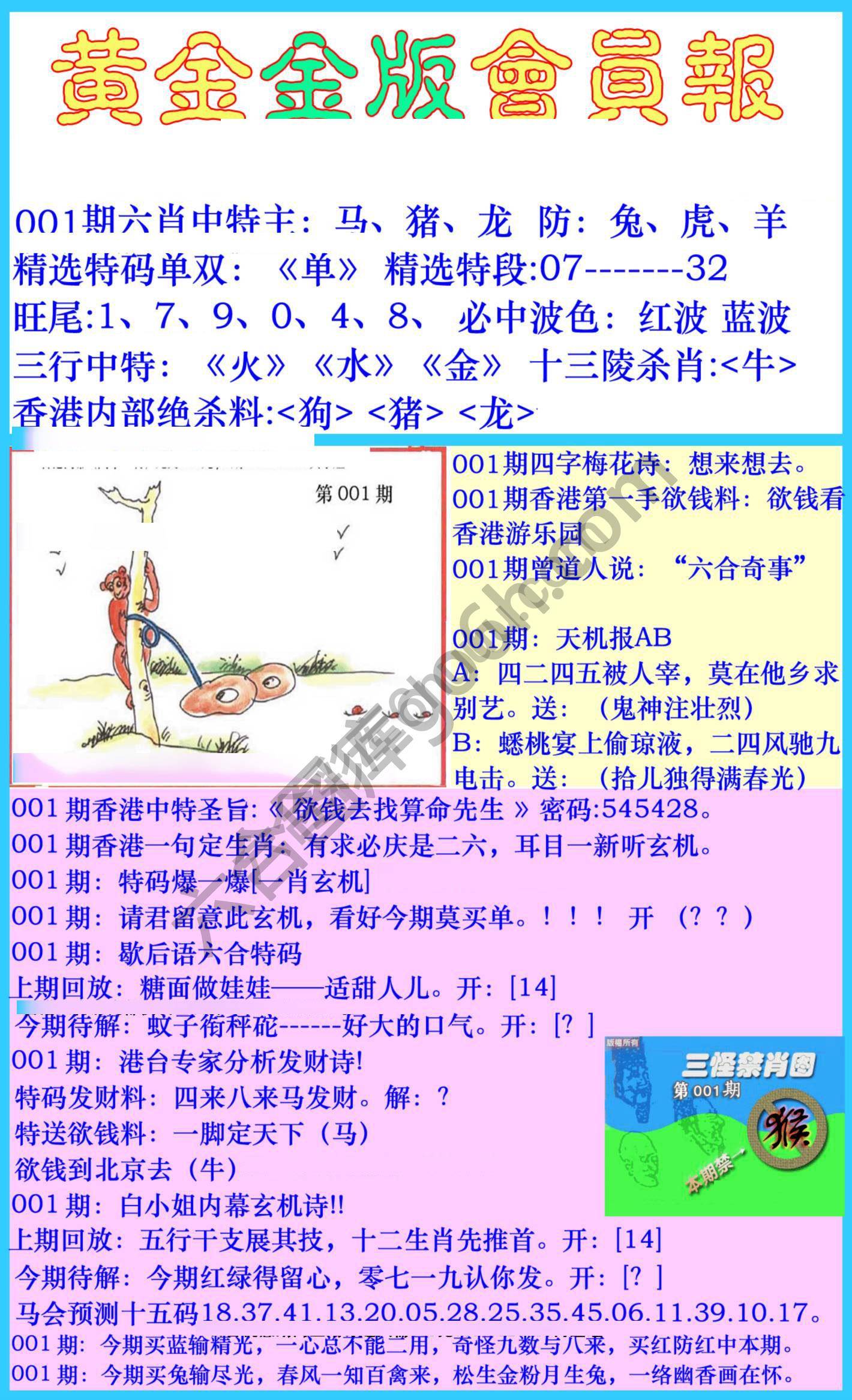 黄金金版会员报