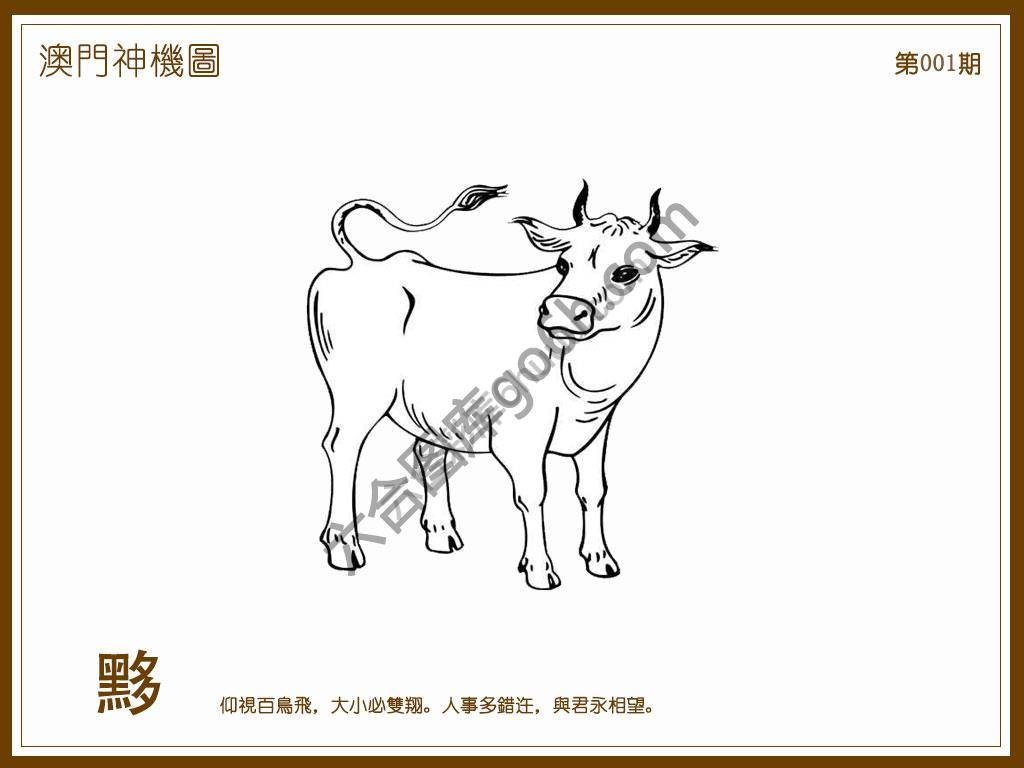 澳门神机图