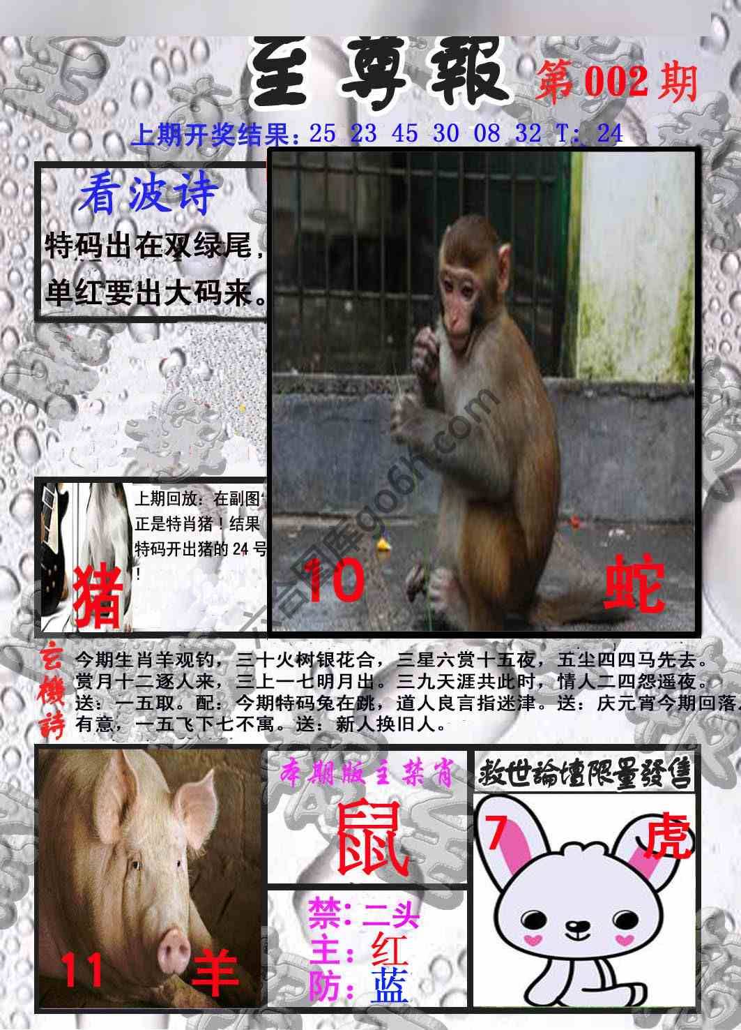 至尊报
