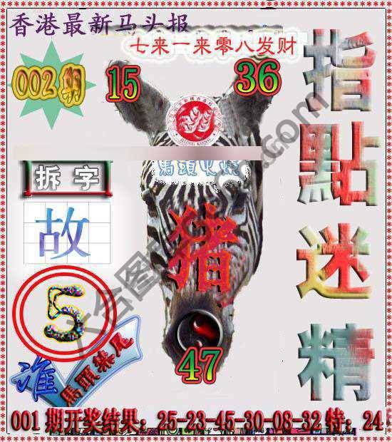 香港马头报