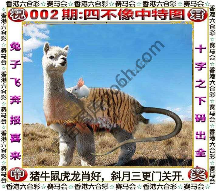 四不像中特图