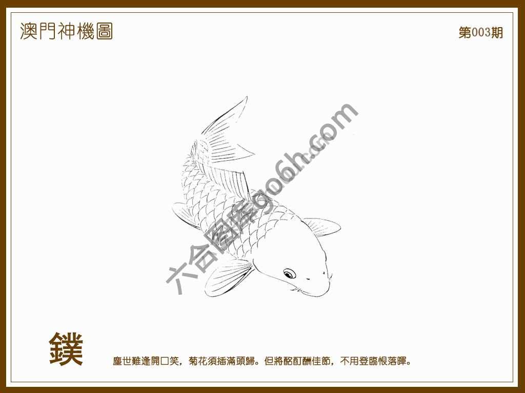 澳门神机图