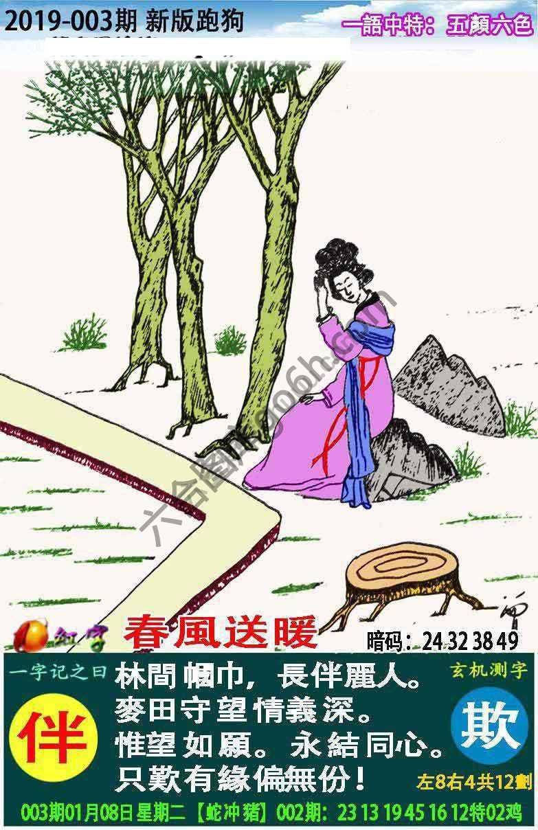 跑狗图（新版）