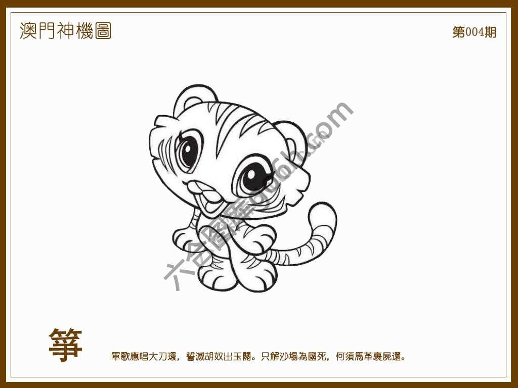 澳门神机图