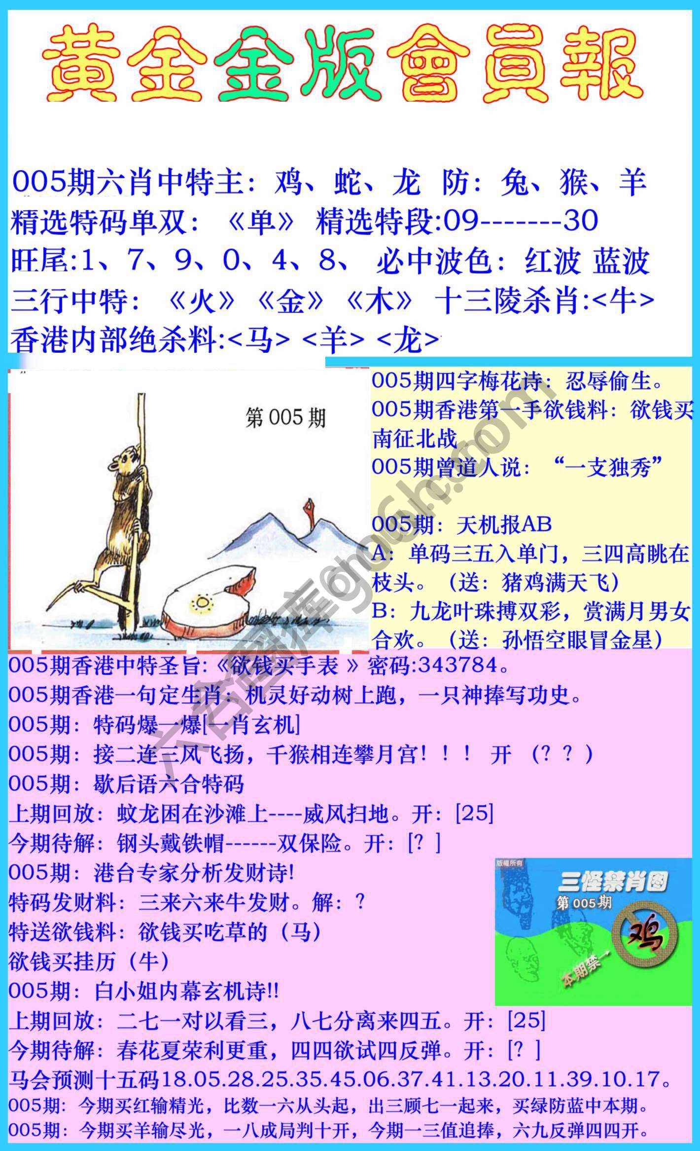 黄金金版会员报