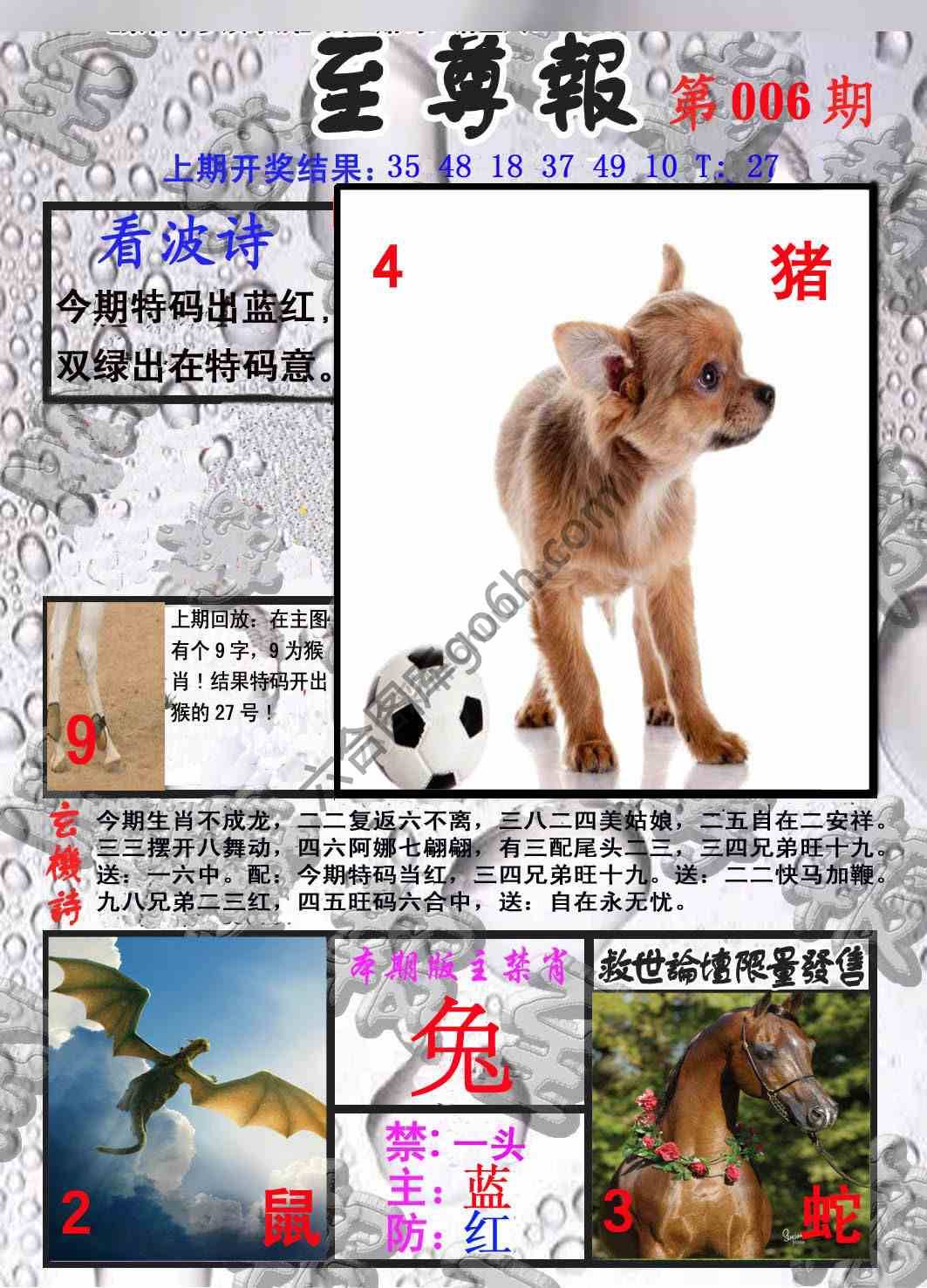 至尊报