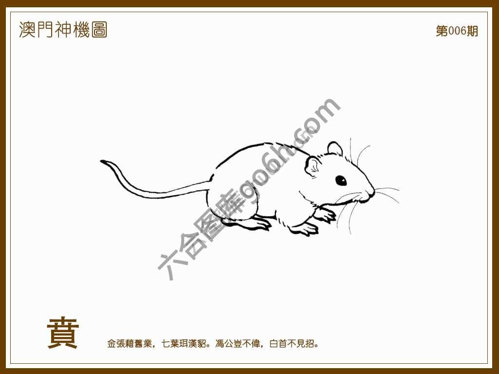 澳门神机图