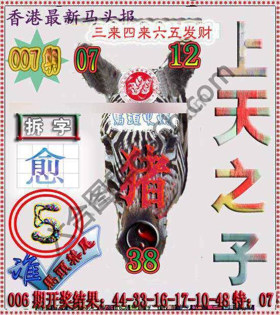 香港马头报