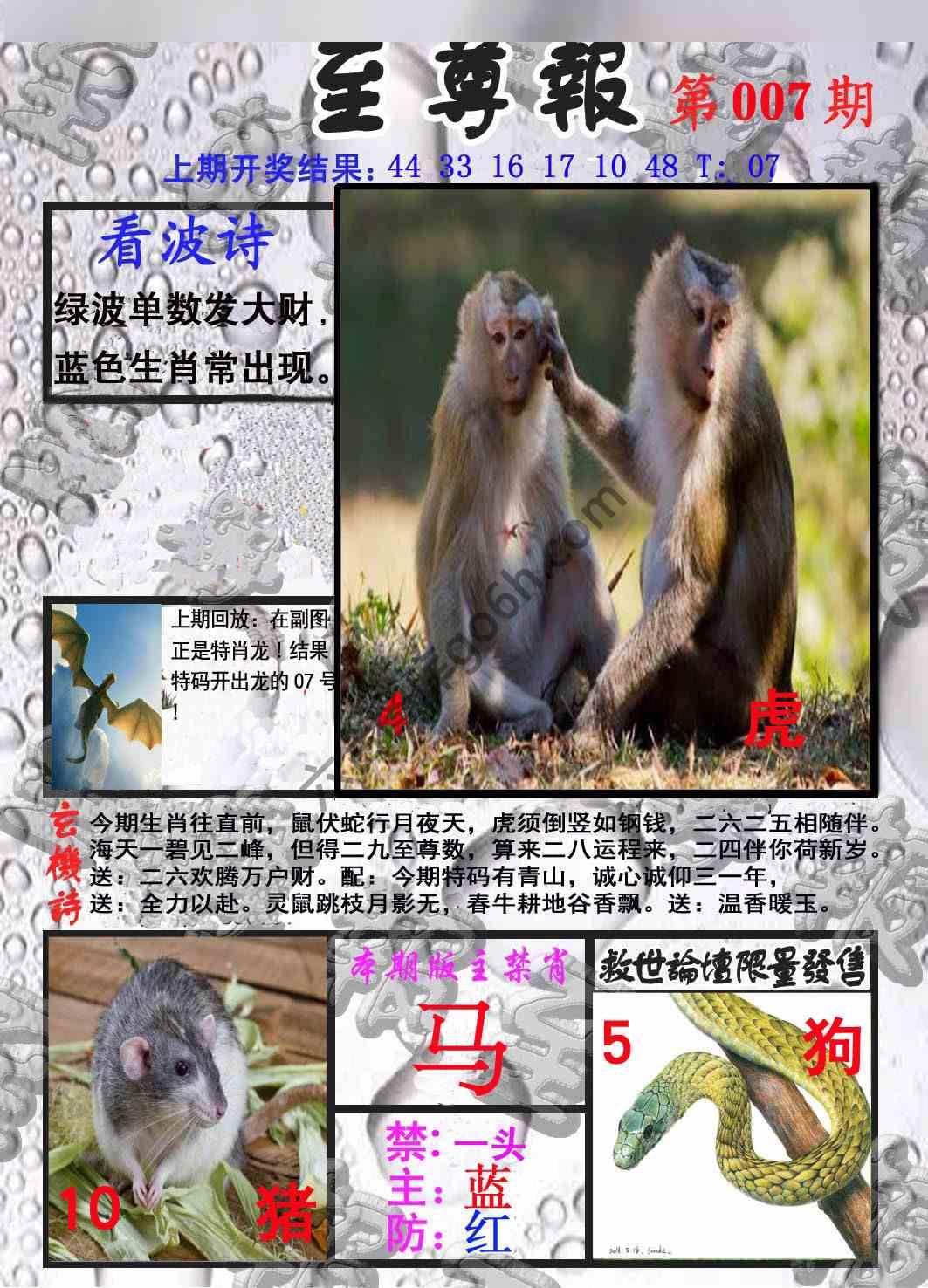 至尊报