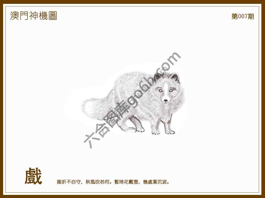 澳门神机图