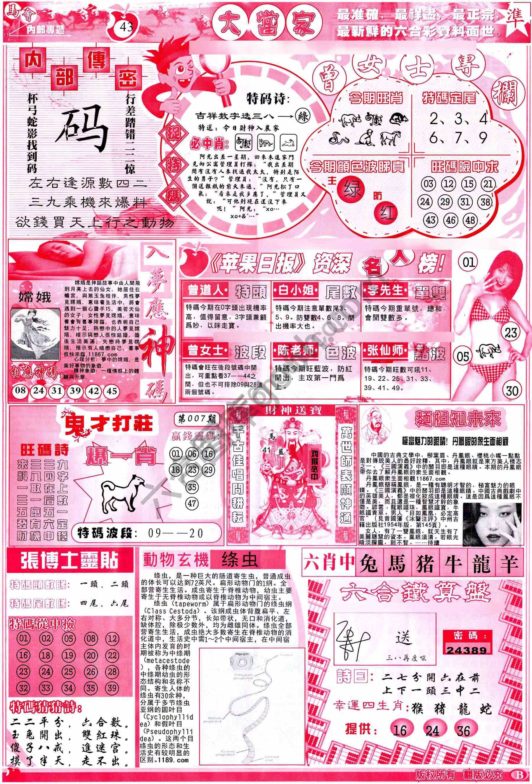 大当家