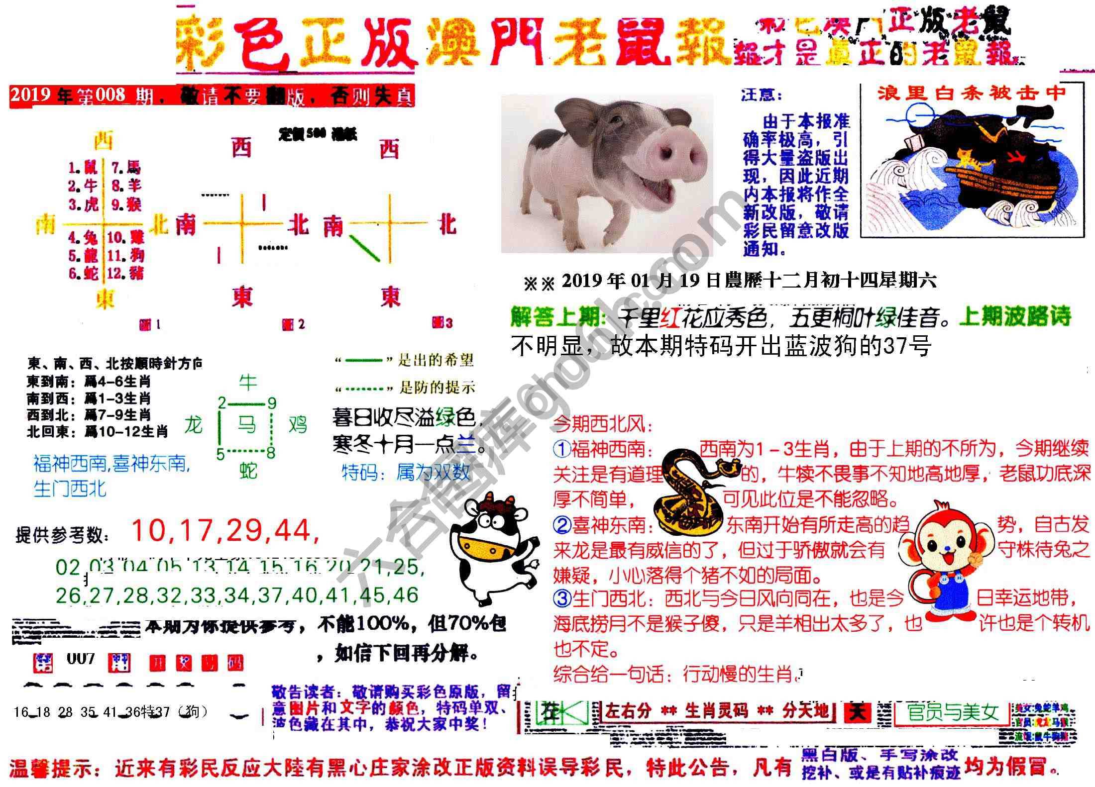 澳门老鼠报