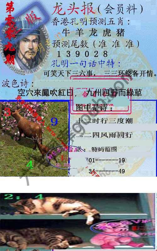龙头报