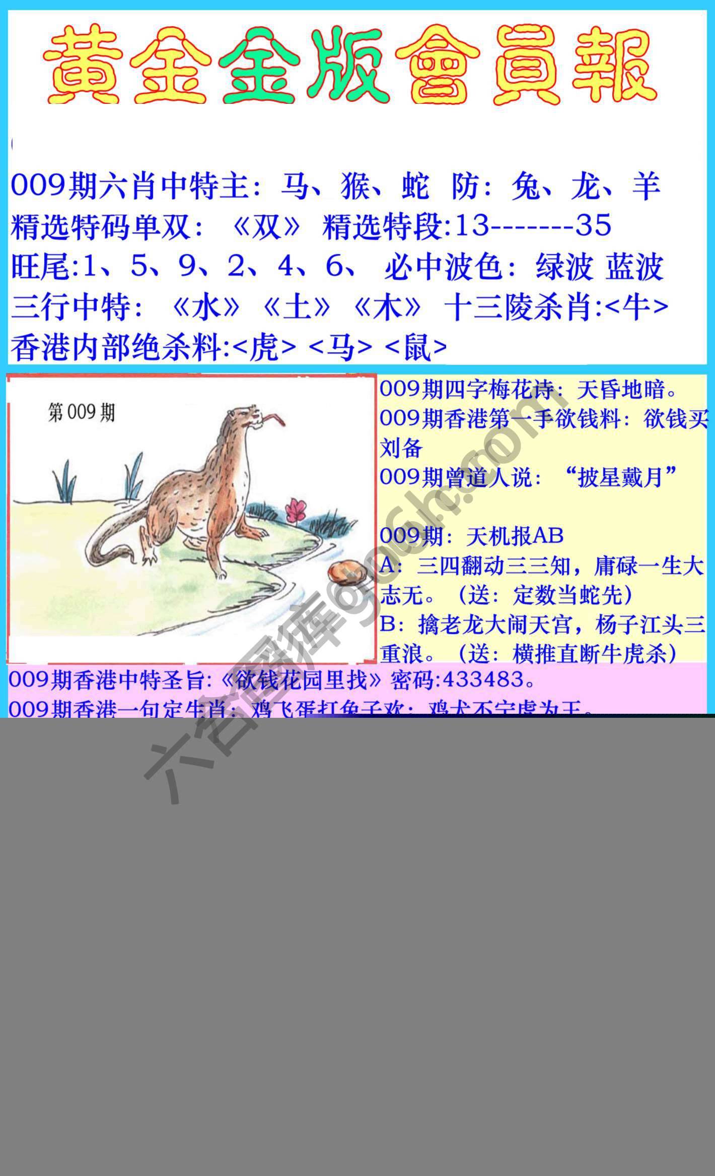 黄金金版会员报