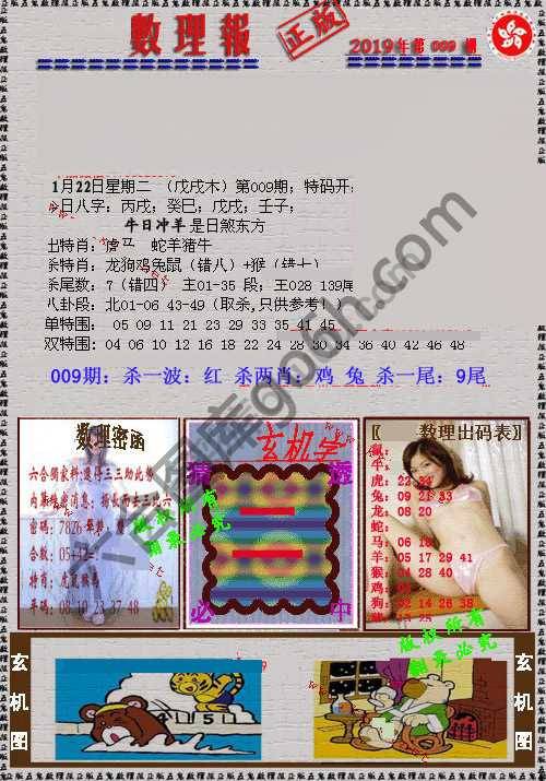 数理报