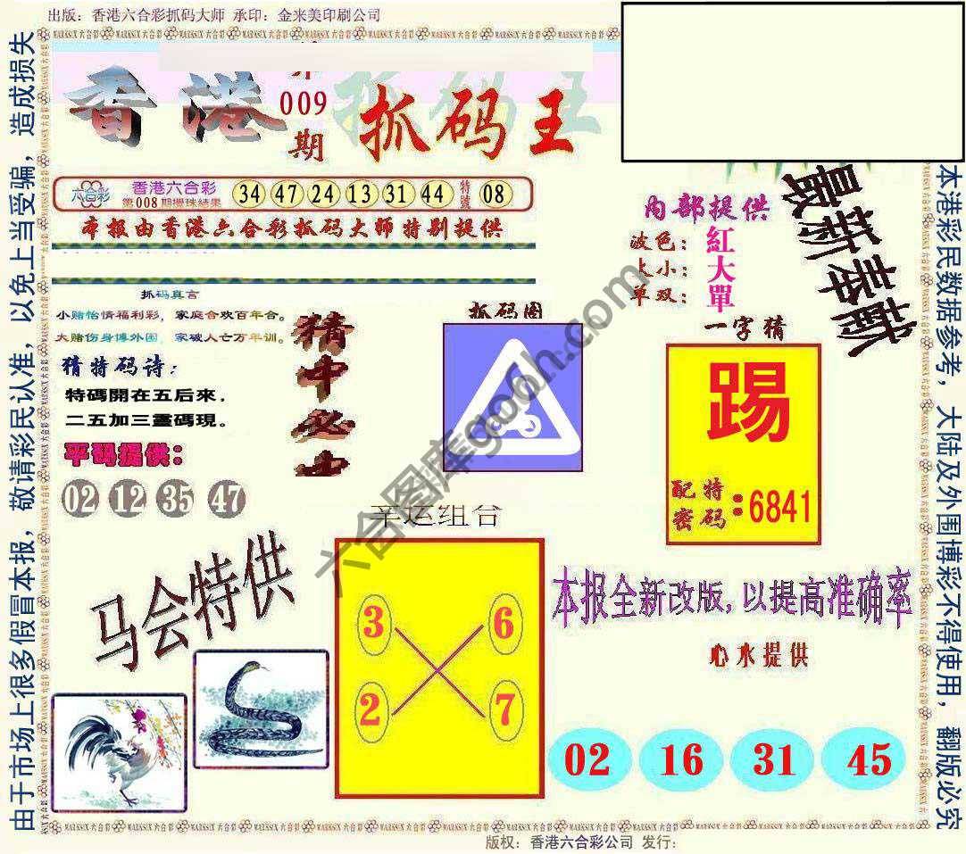 新抓码王