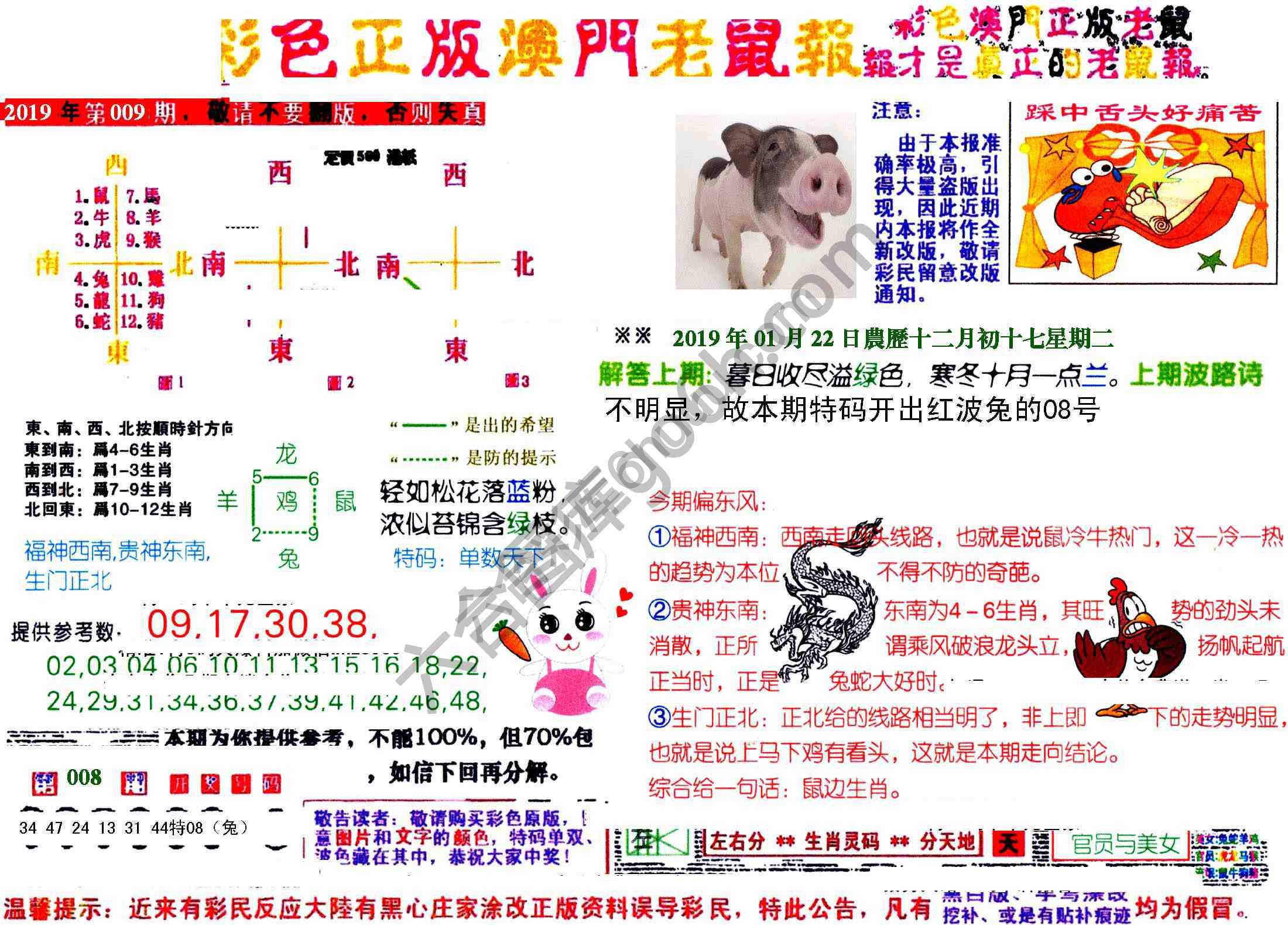 澳门老鼠报