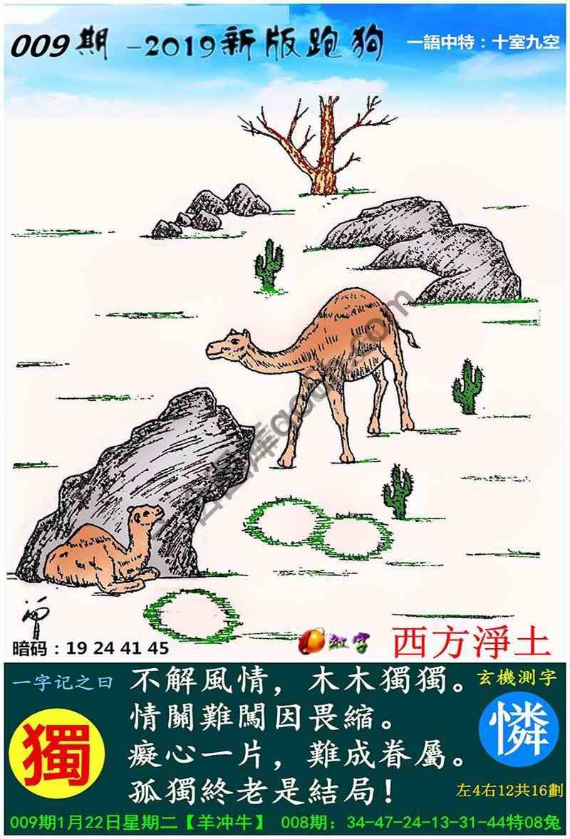 跑狗图（新版）